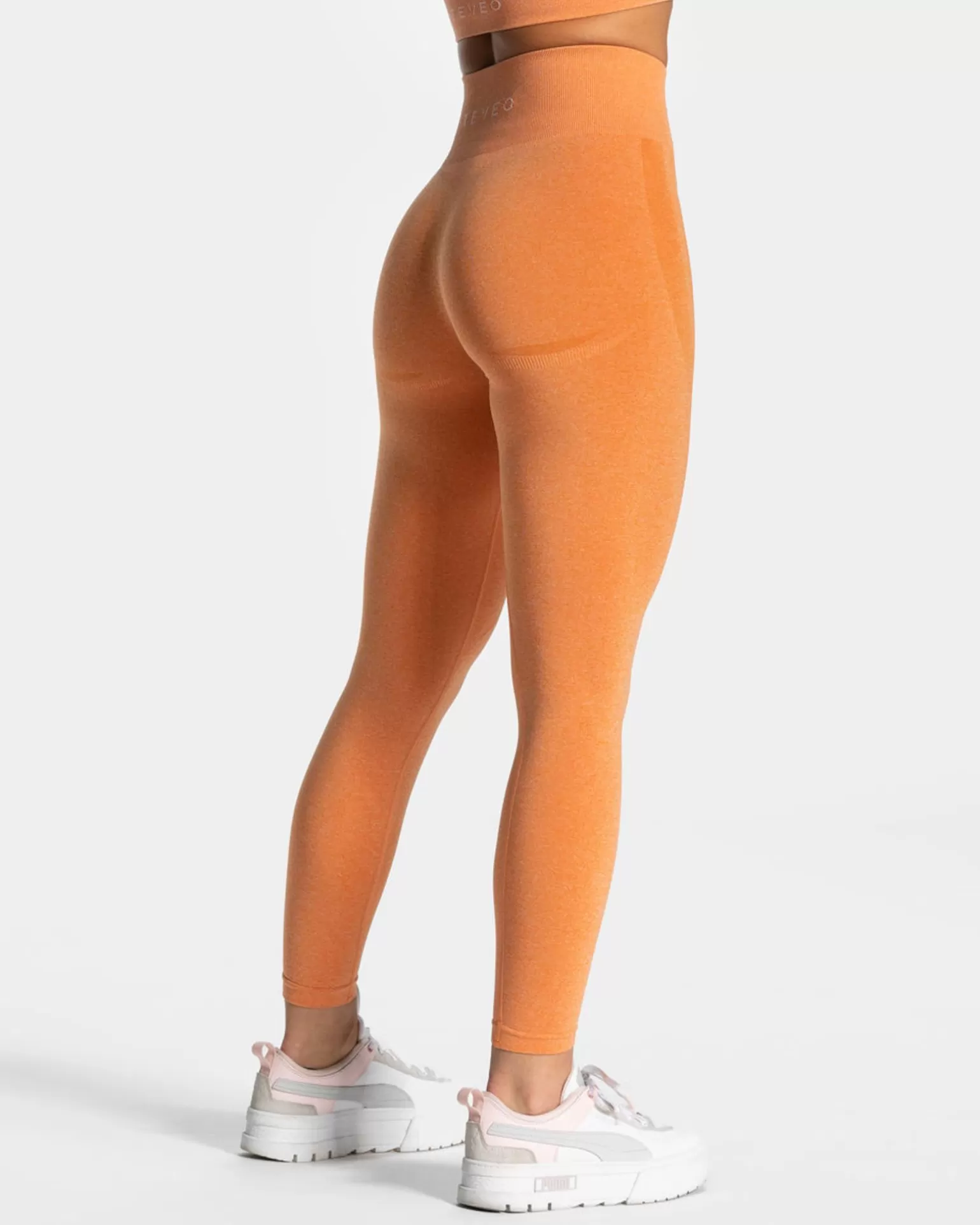 TEVEO Leggings & Hosen>Evolution V2 Leggings " " Orange